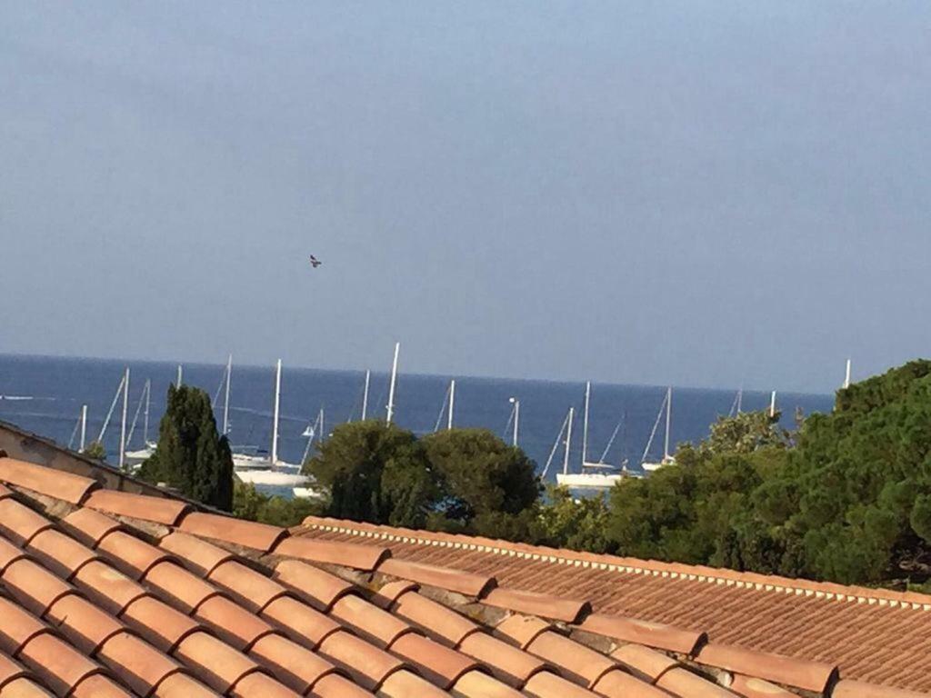 Monolocale centro Île Rousse 100mt dalla spiaggia LʼÎle-Rousse Esterno foto